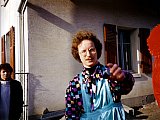 1993-pfaetterhuse