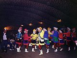 1993-pfaetterhuse