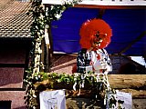 1993-pfaetterhuse