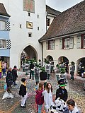 2020-fasnacht